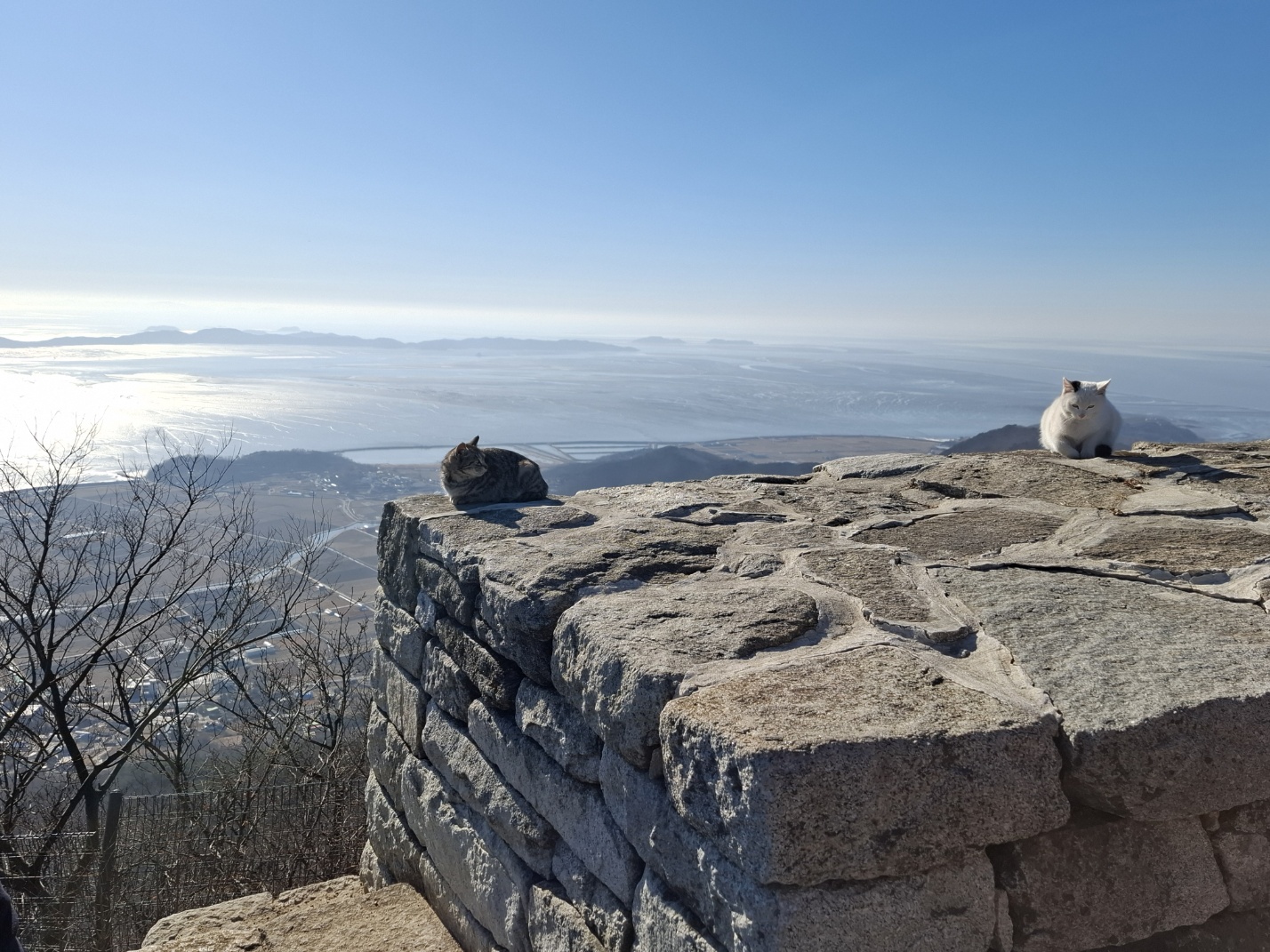 KakaoTalk_20250219_143216423_06 (1).jpg